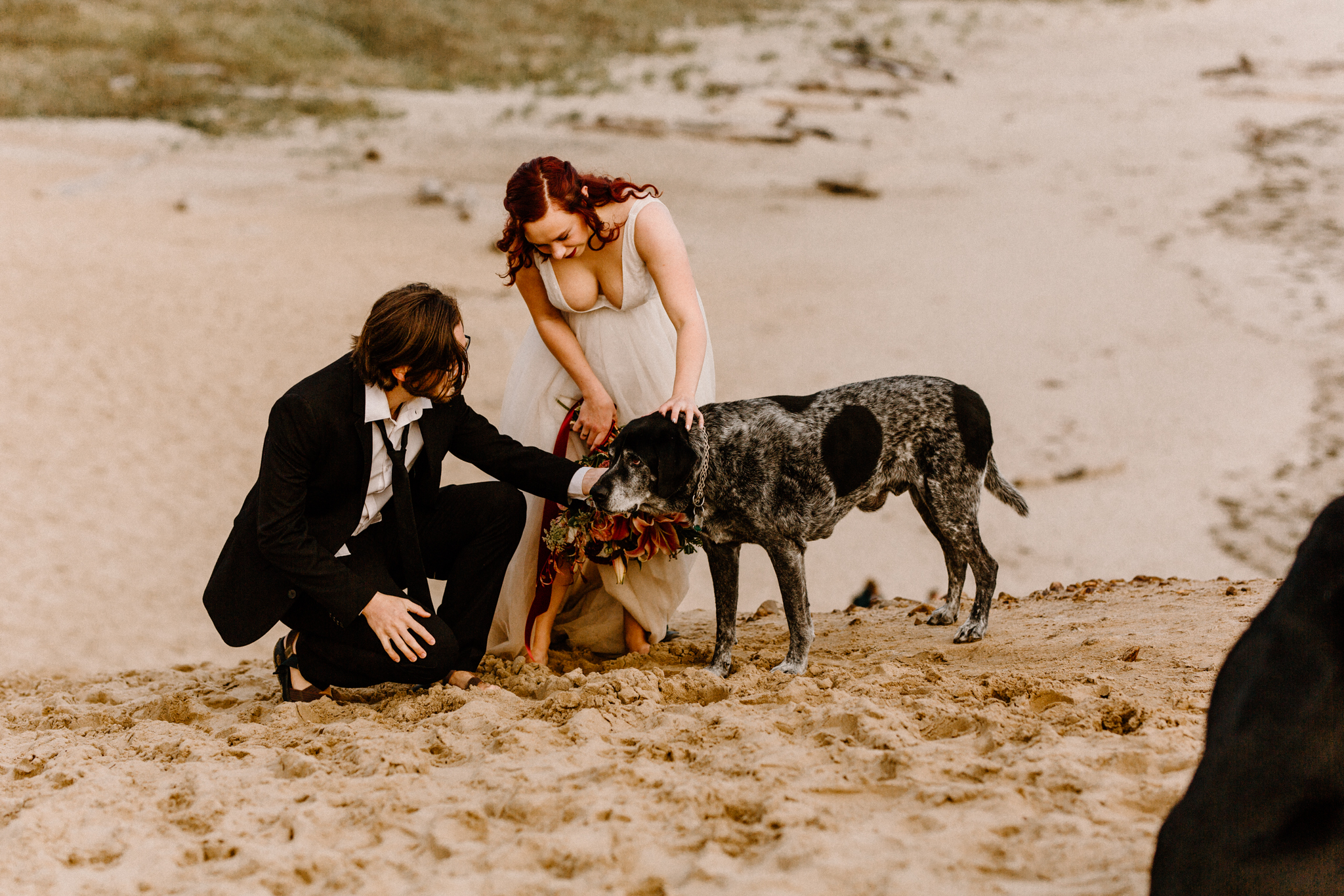 Beach Elopement with Dogs